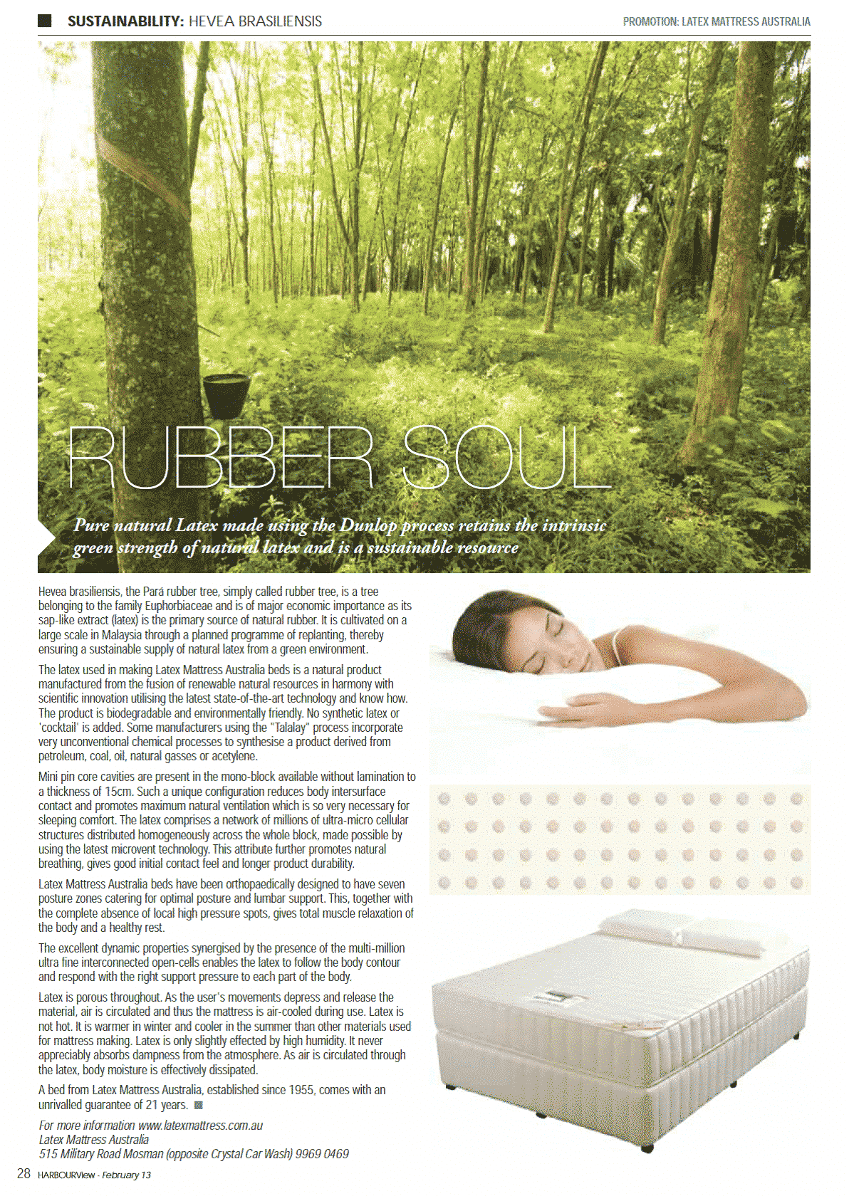 A photo of a news article about latex mattresses, taken from Mosman's Harbour Daily magazine