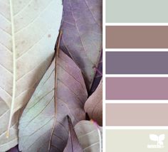 A pile of leaves displaying subtle colours with a matching colour palette displaying the main colours found in the image