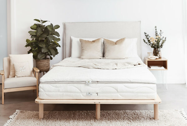 Latex Mattress Topper and Pure Trio Mattress